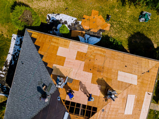 Best Metal Roofing Contractor  in Robersonville, NC