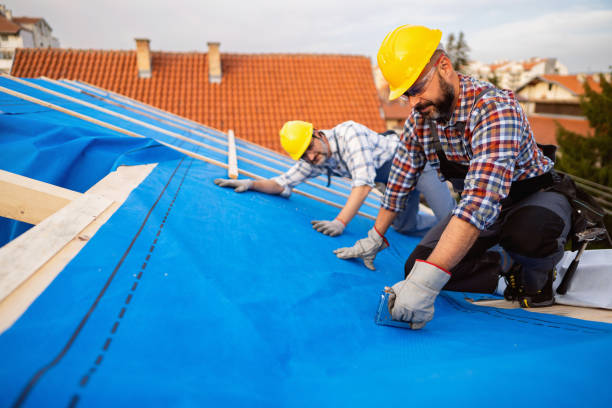 Best Local Roofing Companies  in Robersonville, NC