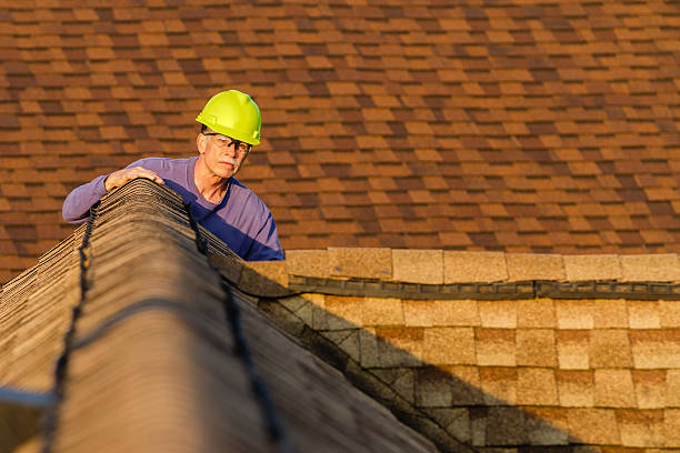 Professional Roofing Contractor in Robersonville, NC