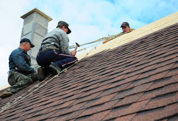 Quick and Trustworthy Emergency Roof Repair Services in Robersonville, NC