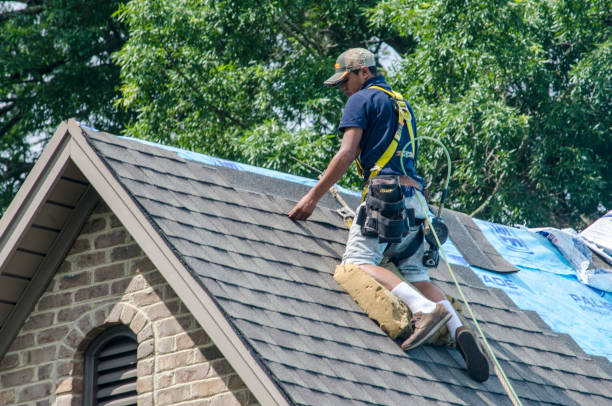 Best Residential Roofing Contractor  in Robersonville, NC